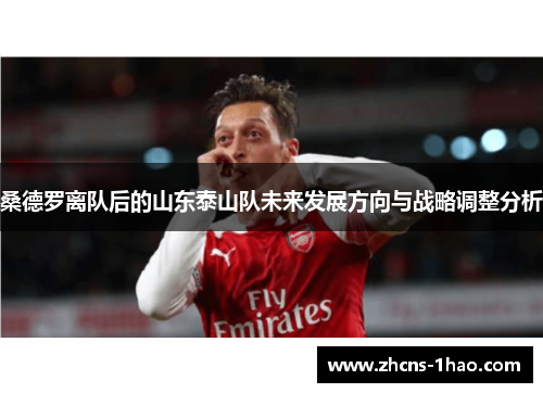 桑德罗离队后的山东泰山队未来发展方向与战略调整分析 桑德罗离队后的山东泰山队未来发展方向与战略调整分析