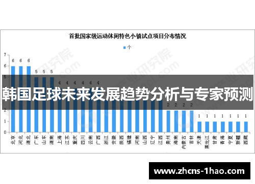 韩国足球未来发展趋势分析与专家预测