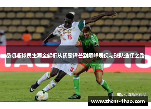 桑切斯球员生涯全解析从初露锋芒到巅峰表现与球队选择之路